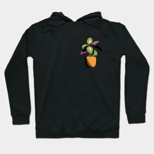 Potted Calathea Plant Hoodie